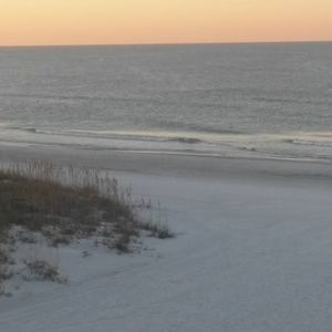 Meet your Posher, Pascale